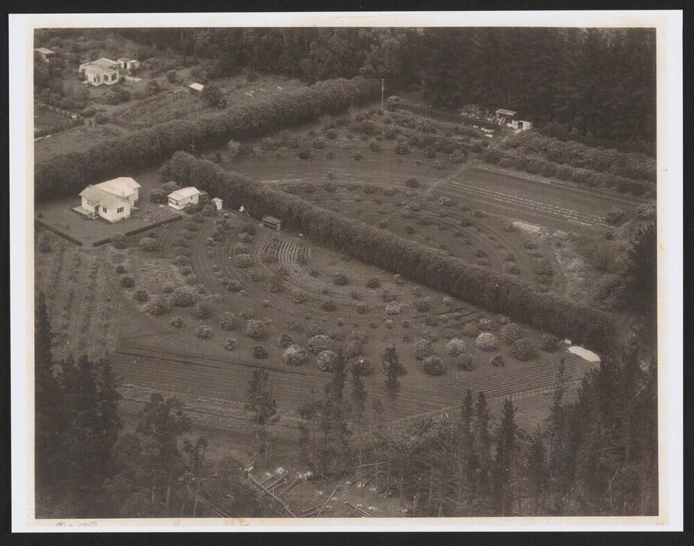 Hardcastle Photographs (30)