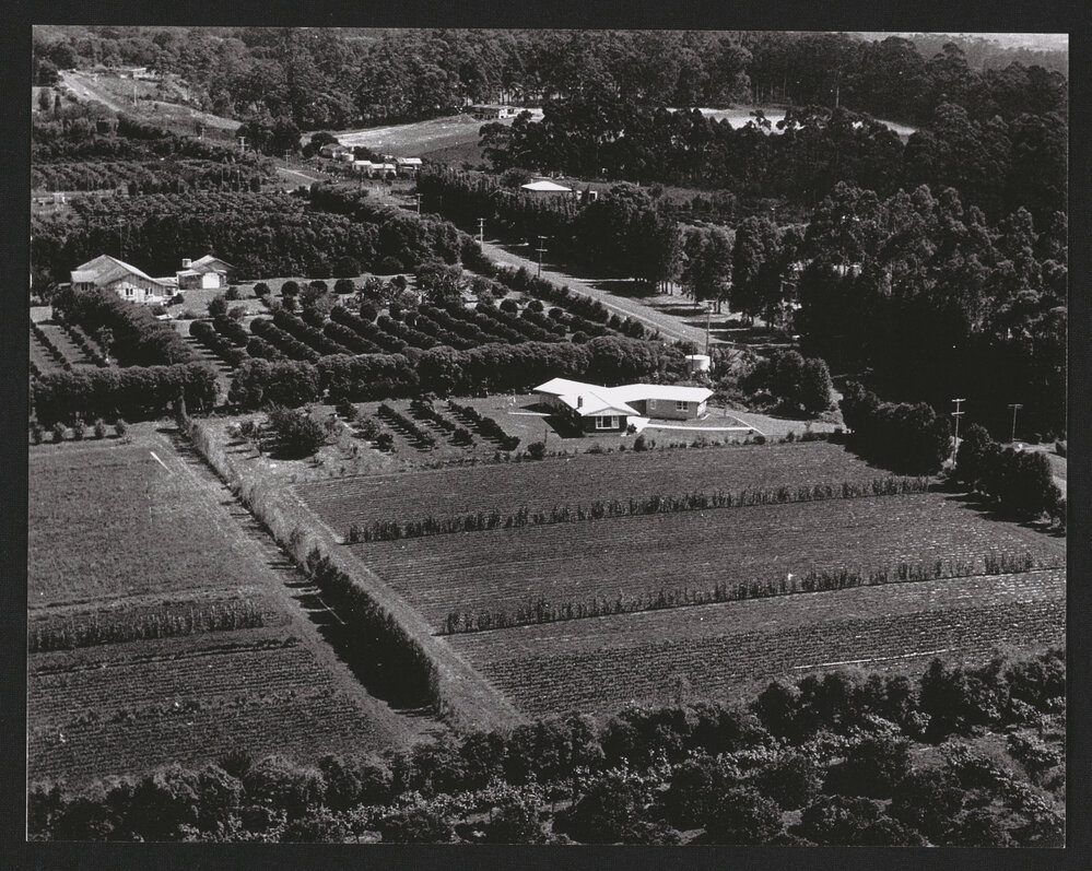 Hardcastle Photographs (25)
