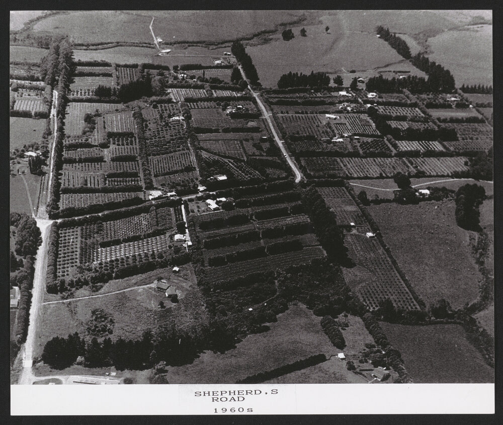 Hardcastle Photographs (18)