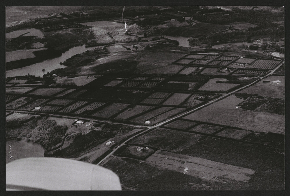 Hardcastle Photographs (14)