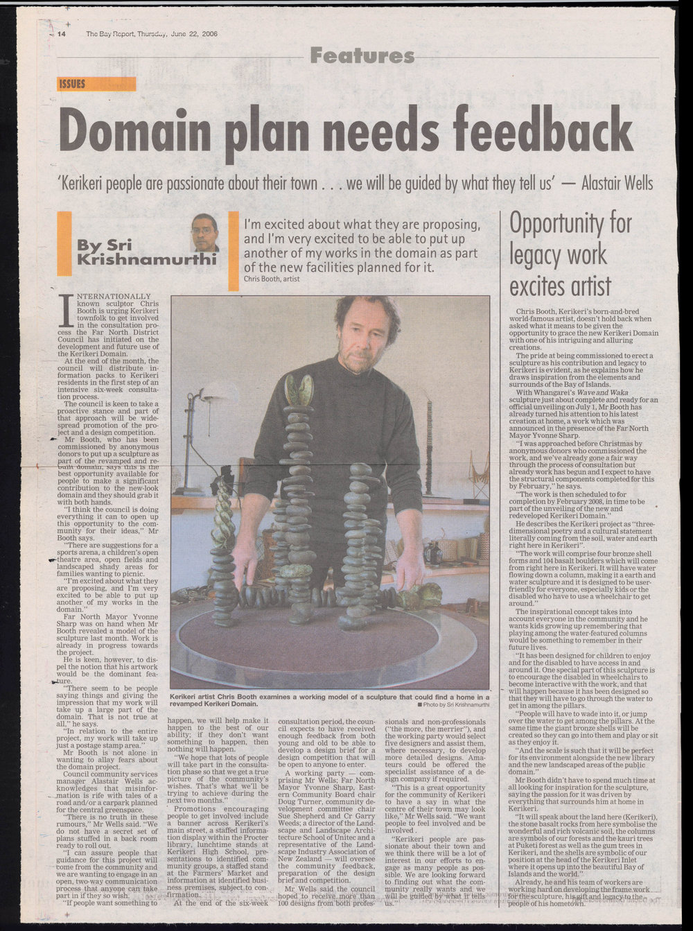 Domain plan needs feedback : Opportunity for legacy work excites artist