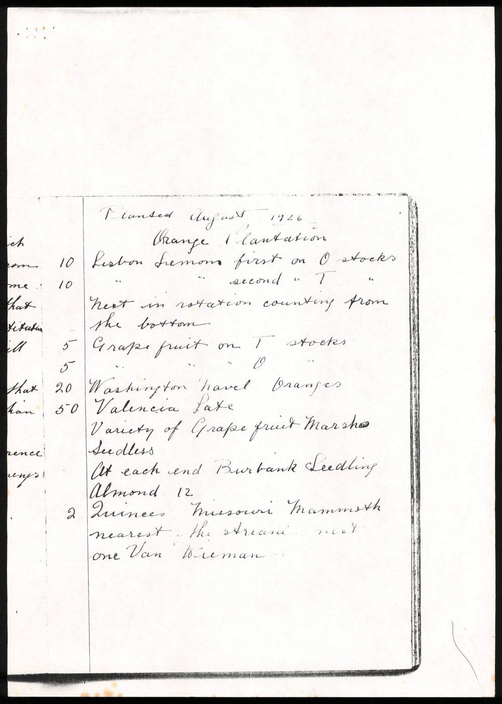 Planting, August 1926