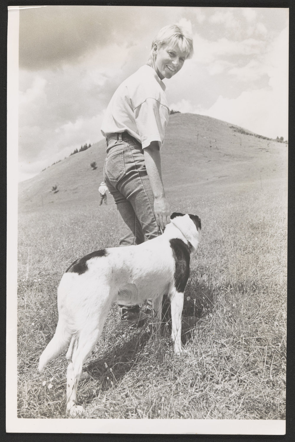 BOI Sheep Dog Trial