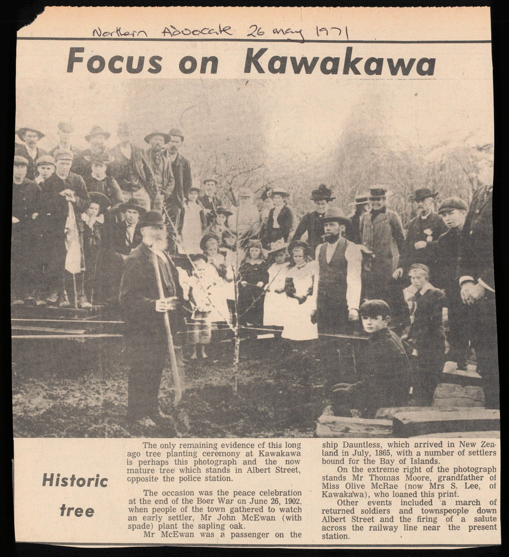 Tree planting ceremony Albert Street Kawakawa
