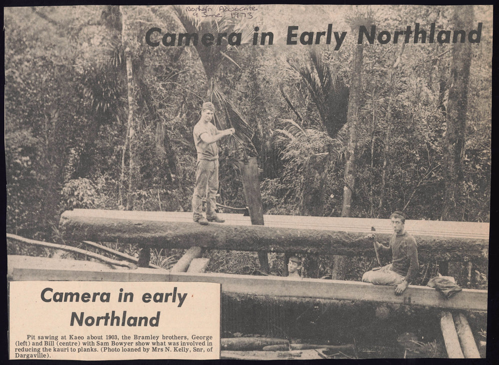 Camera in Early Northland