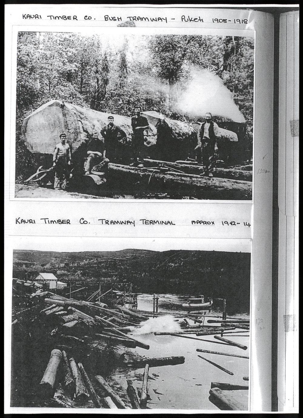 Kauri Timber Company 