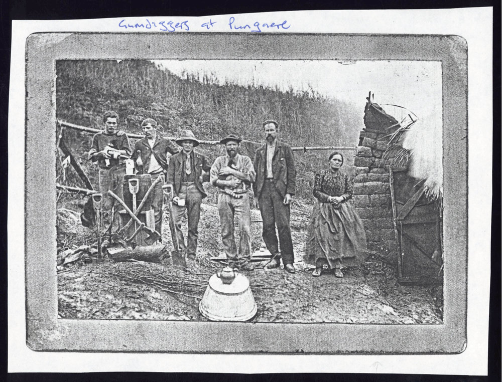 Gumdiggers at Pungarere