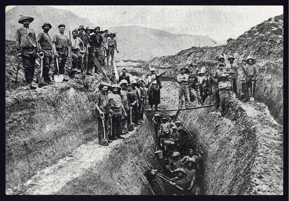 Austrians draining a swamp for gum