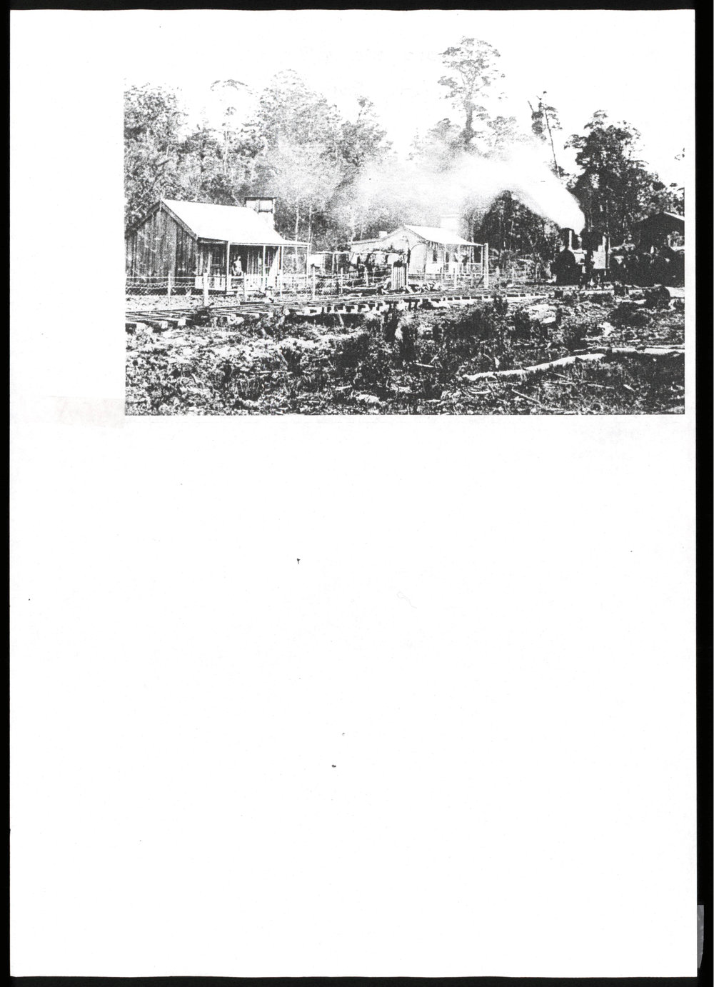 Puketi Forest Camp 