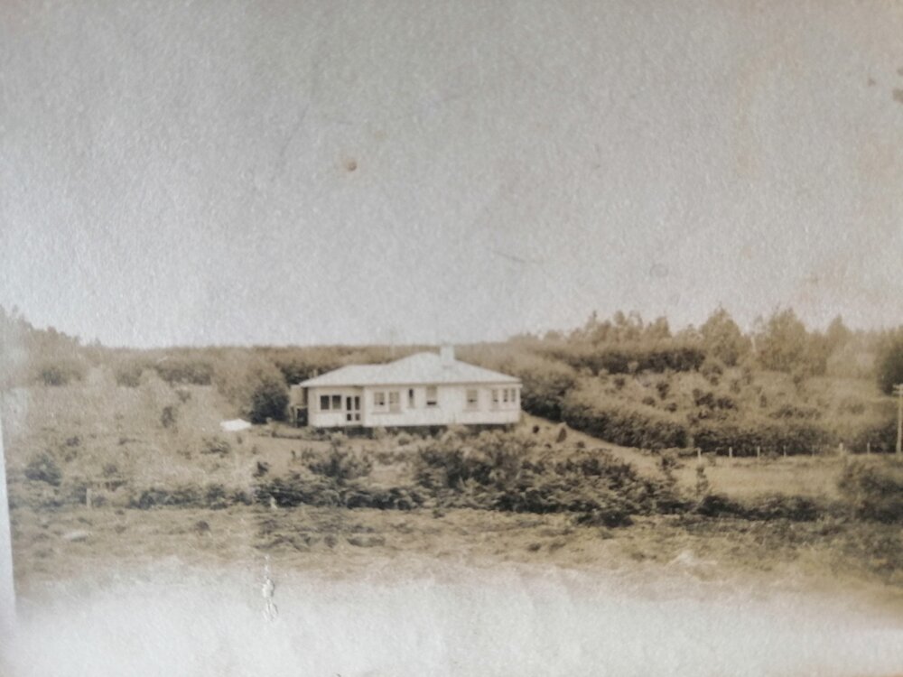 Ritchie family household
