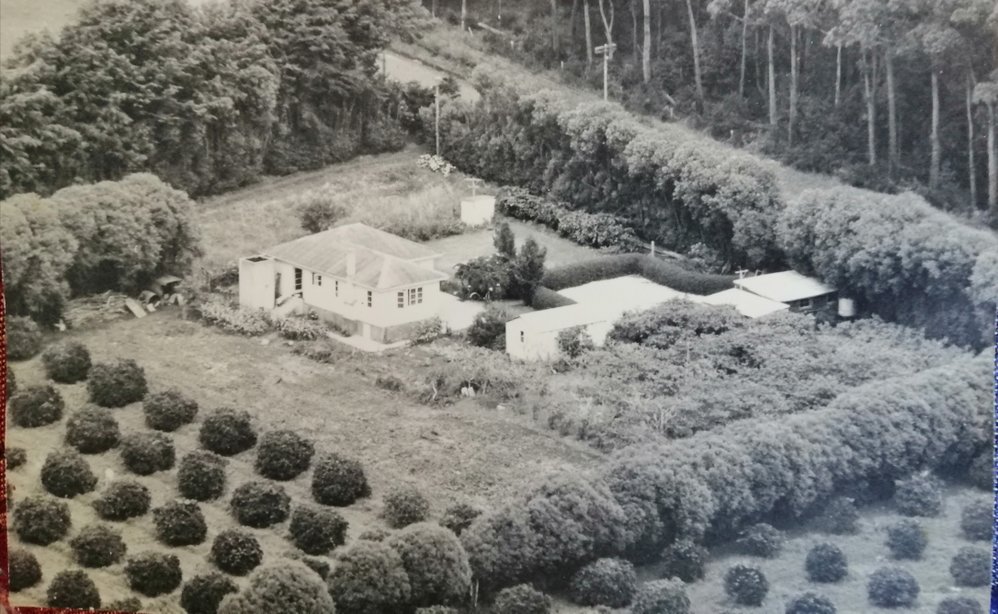 Cranleigh Orchard