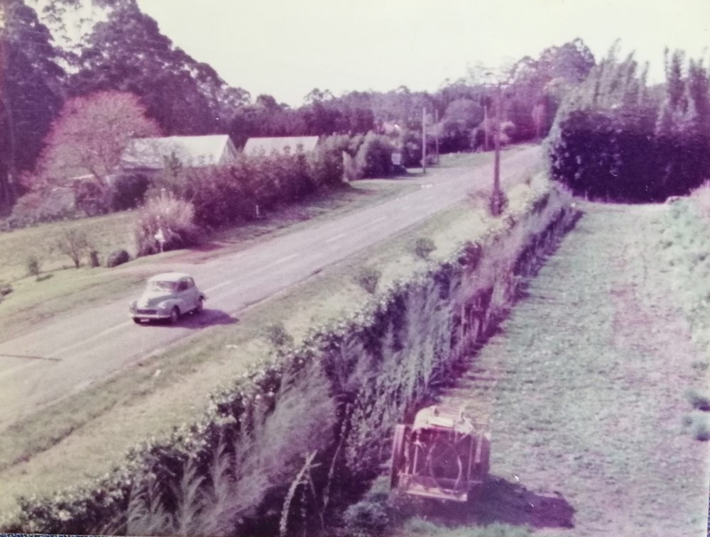 373 Kerikeri Road Kerikeri