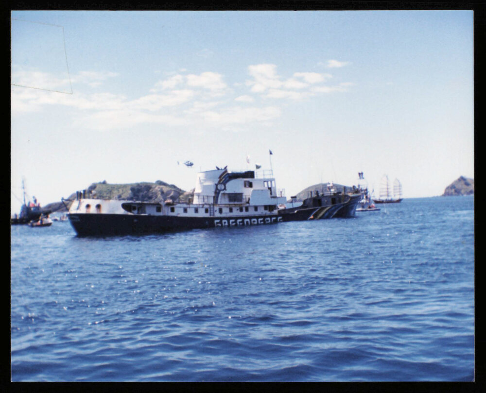 Rainbow Warrior (3)