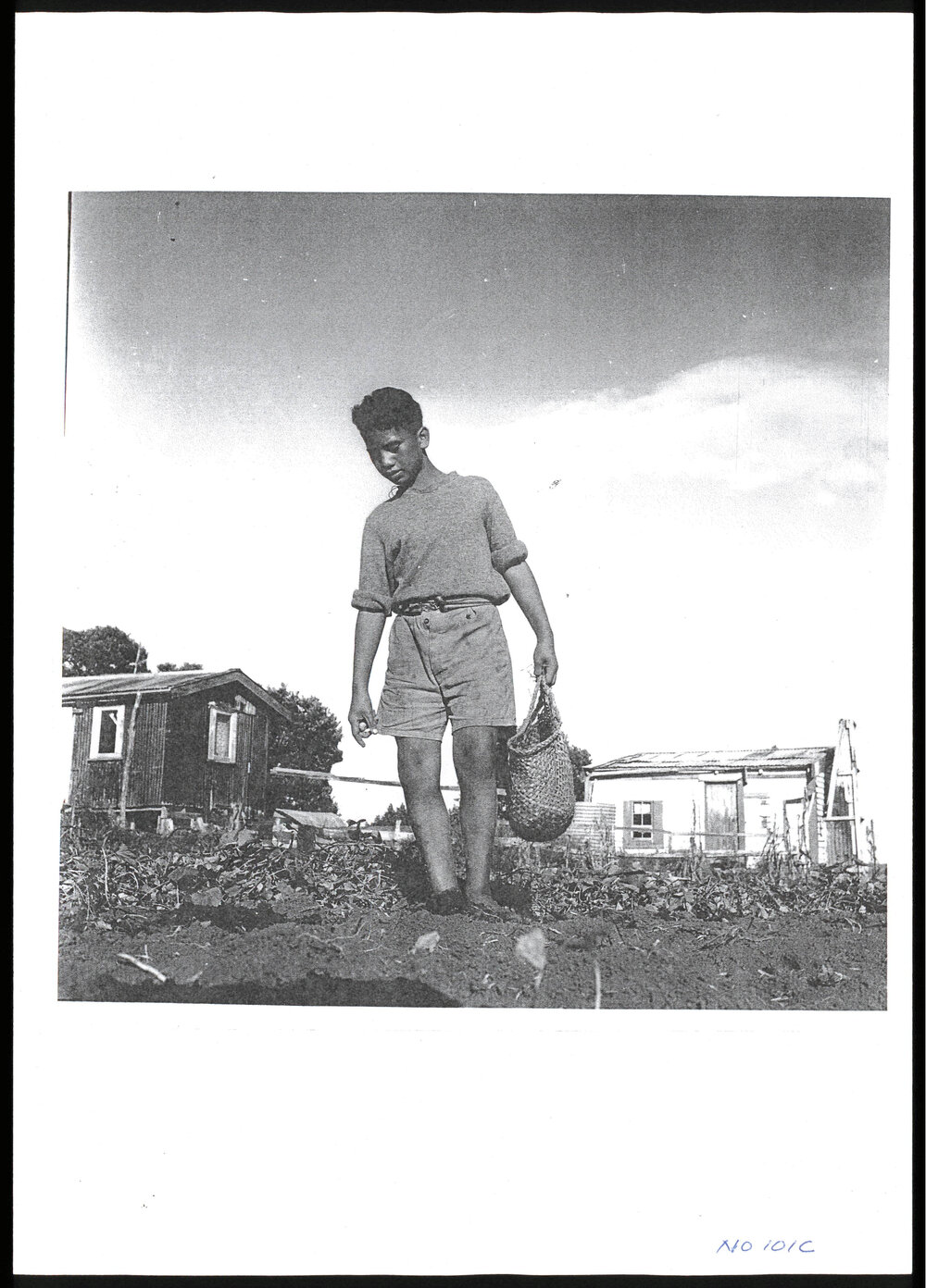 Photographs of children at Te Tii