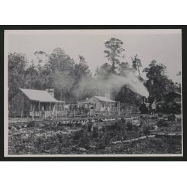 Puketi forest camp