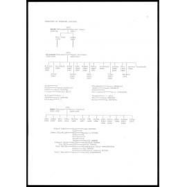 Marriages of Robinson Children