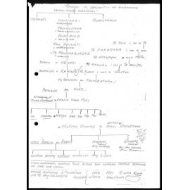 Descendant chart of Rahiri and Ahuaiti 
