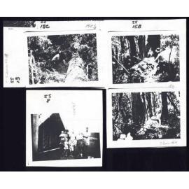 Photographs of Martin Smythe