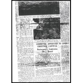 Centuries old Rimu felled in minutes