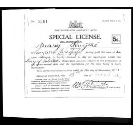 Special license to dig for Kauri gum