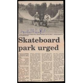 Skateboard park urged