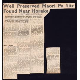 Well preserved Māori Pa site found near Horeke