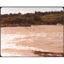Waipapa Landing flooded