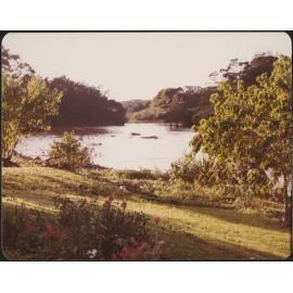 Waipapa Basin