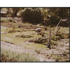 Damage after the flood