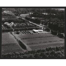 Hardcastle Photographs (25)