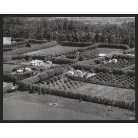 Hardcastle Photographs (20)