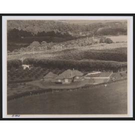 Hardcastle Photographs (8)