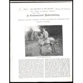 A Commercial Undertaking