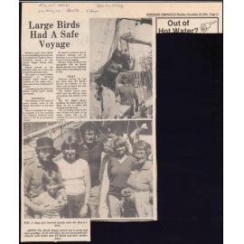Large birds had a safe voyage