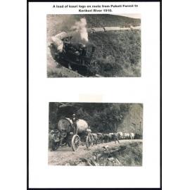 Transporting Kauri logs