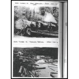 Kauri Timber Company 