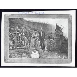 Gumdiggers at Pungarere