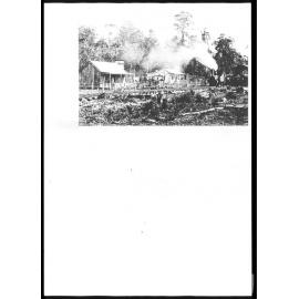 Puketi Forest Camp 