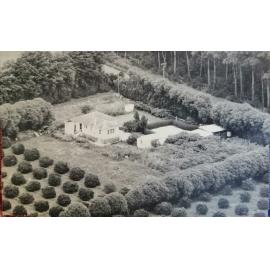 Cranleigh Orchard