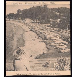 Paihia Popular : The waterfront at Paihia