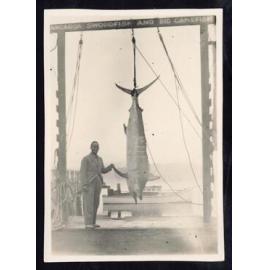 Whangaroa  Swordfish and Big Game Fishing