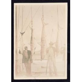 Whangaroa  Swordfish and Big Game Fishing