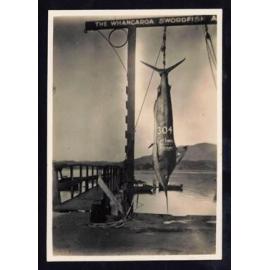 Whangaroa  Swordfish and Big Game Fishing