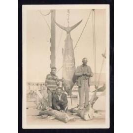 Whangaroa  Swordfish and Big Game Fishing