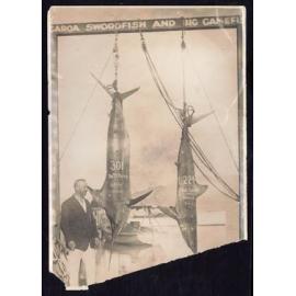 Whangaroa  Swordfish and Big Game Fishing