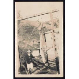 Whangaroa  Swordfish and Big Game Fishing