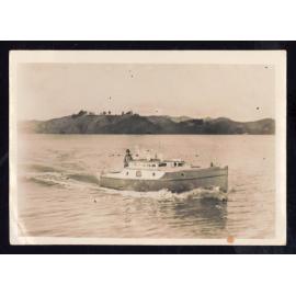 Whangaroa  Swordfish and Big Game Fishing