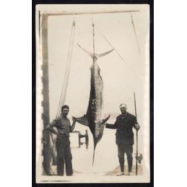 Whangaroa  Swordfish and Big Game Fishing