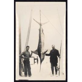 Whangaroa  Swordfish and Big Game Fishing