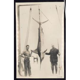 Whangaroa  Swordfish and Big Game Fishing